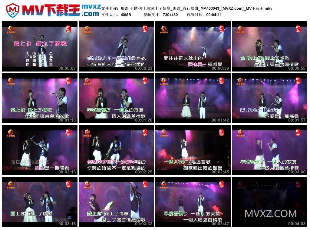 彤杰 王麟-爱上你爱上了情歌_国语_流行歌曲_MA403043